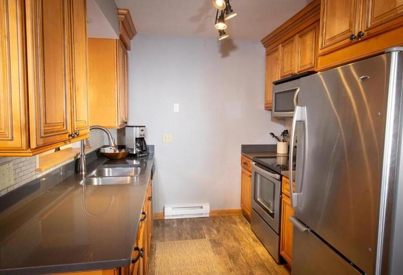 فندق Okemo Mountain Lodging