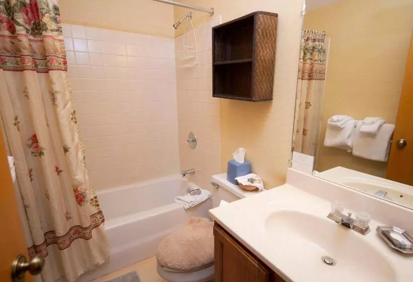 Hotelli Okemo Mountain Lodging