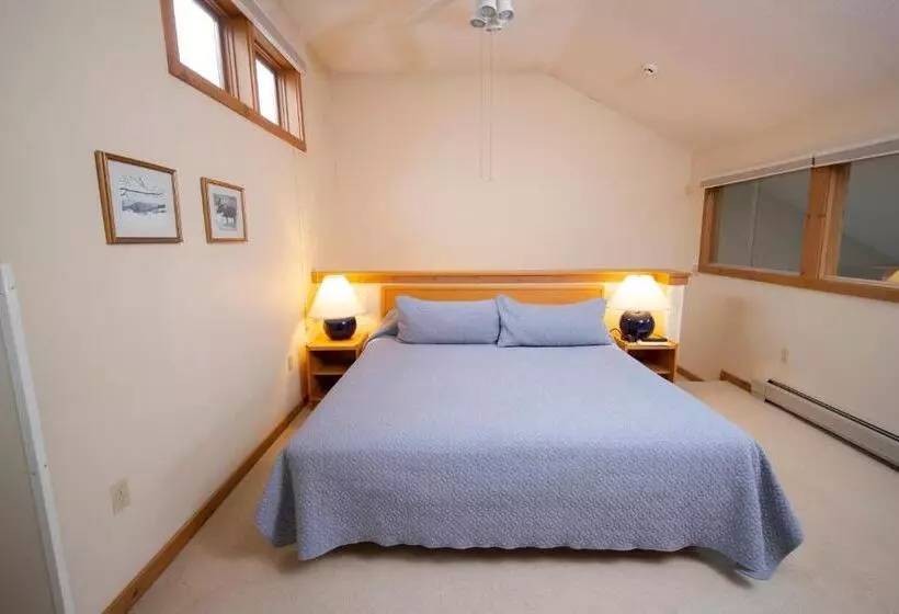 Hotelli Okemo Mountain Lodging