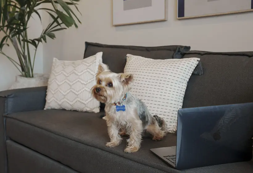 Abba Suites Playa del Carmen