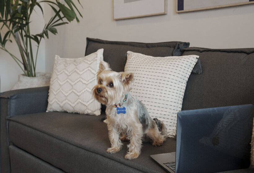 Abba Suites Playa del Carmen