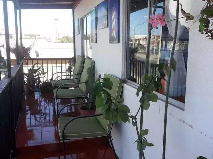 Hostel Cactus