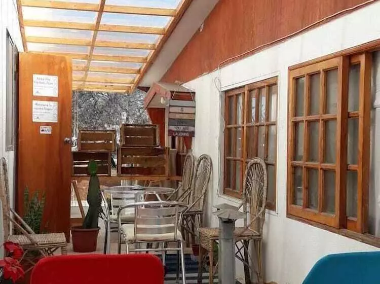 Hostel Cactus