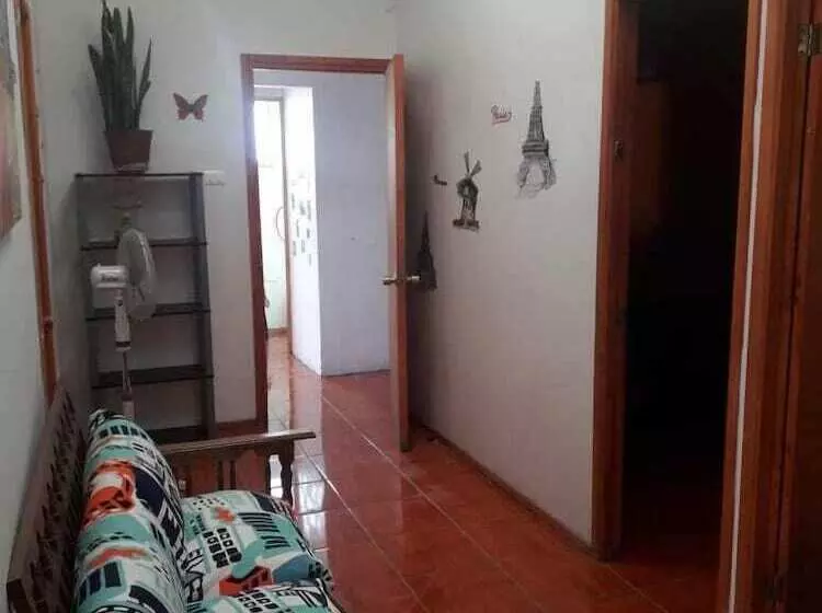 Hostel Cactus