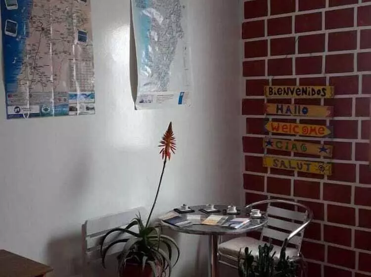 Hostel Cactus
