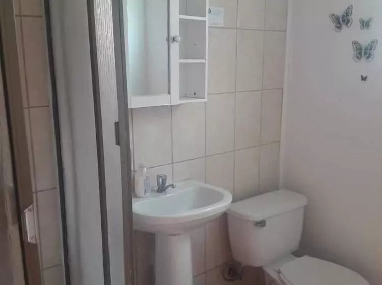 Hostel Cactus