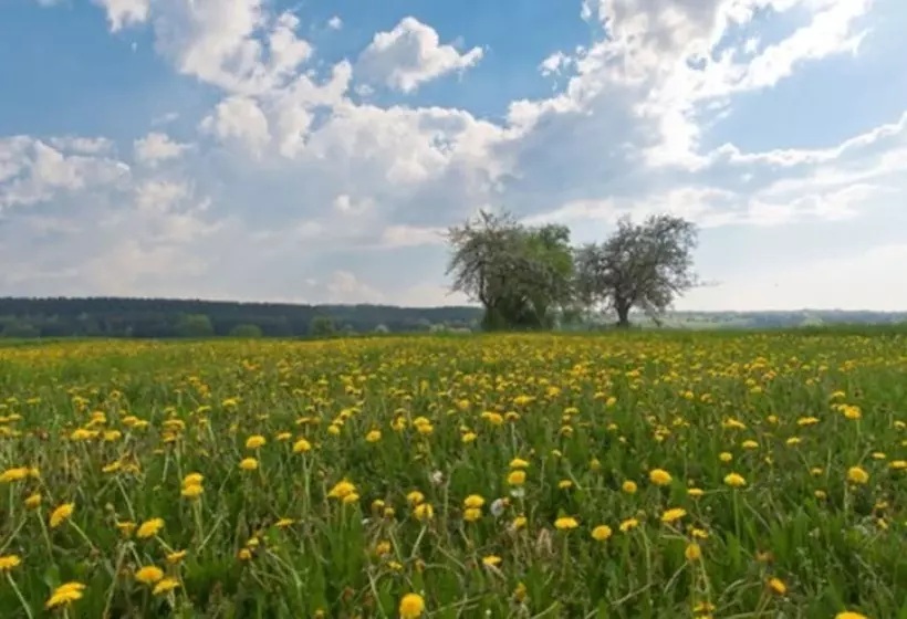 Hotelli Annas Gastehaus