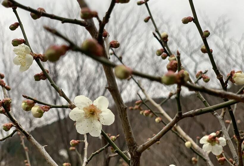 ホテル Gran Terrace Le Lien Hakone