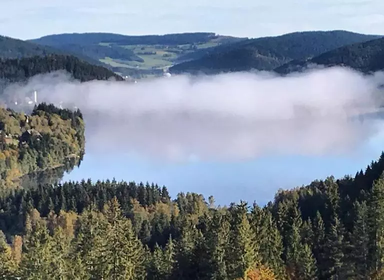 Hotelli Landgasthof Alpenblick An Der Wutachschlucht Südschwarzwald