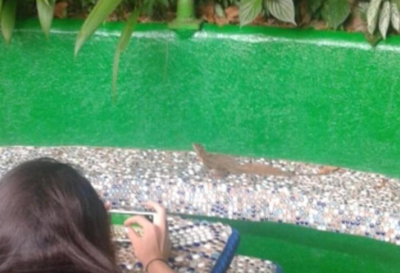 Отель Manuel Antonio Park House Adults Only