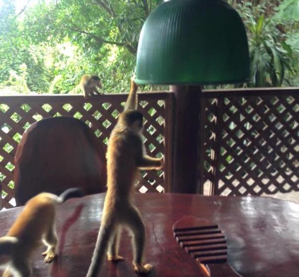 Отель Manuel Antonio Park House Adults Only