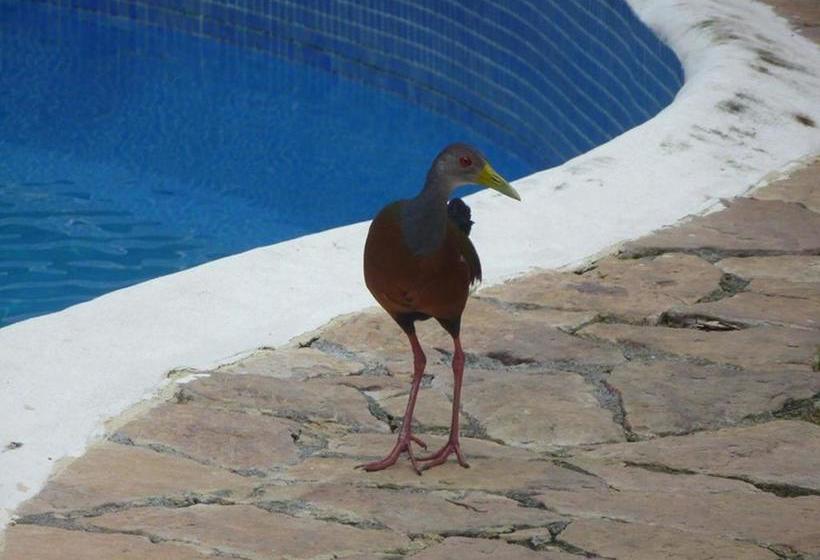 Отель Manuel Antonio Park House Adults Only