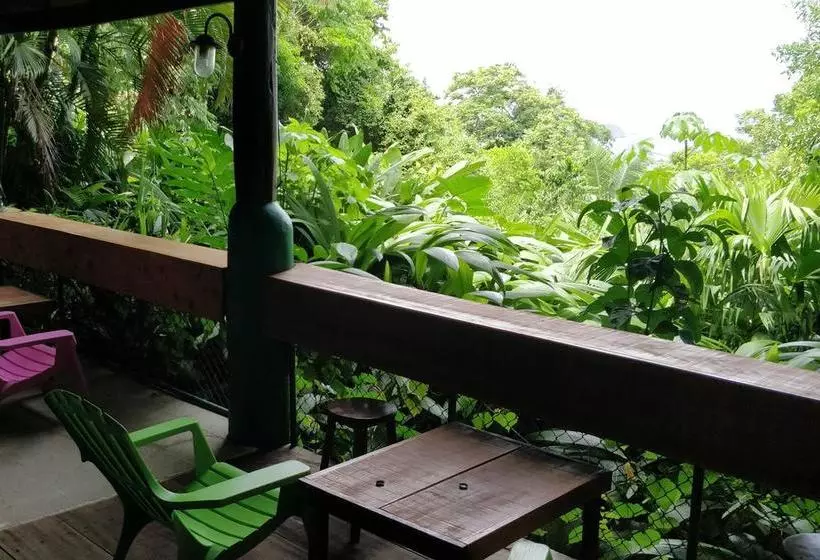 Hotelli Manuel Antonio Park House  Adults Only