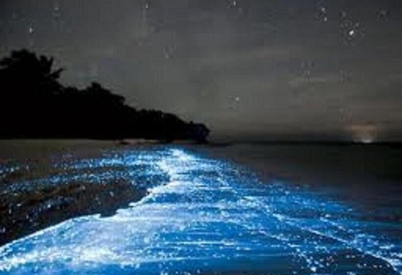 בית מלון כפרי Mapi's Cabins