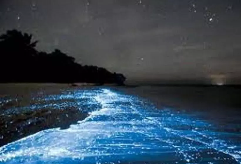 Hotelli Mapi's Cabins