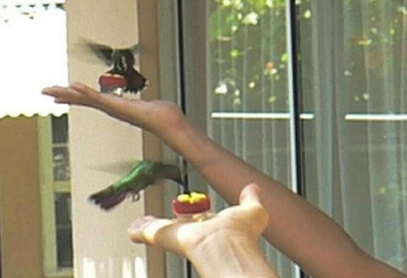 בית מלון כפרי Mapi's Cabins