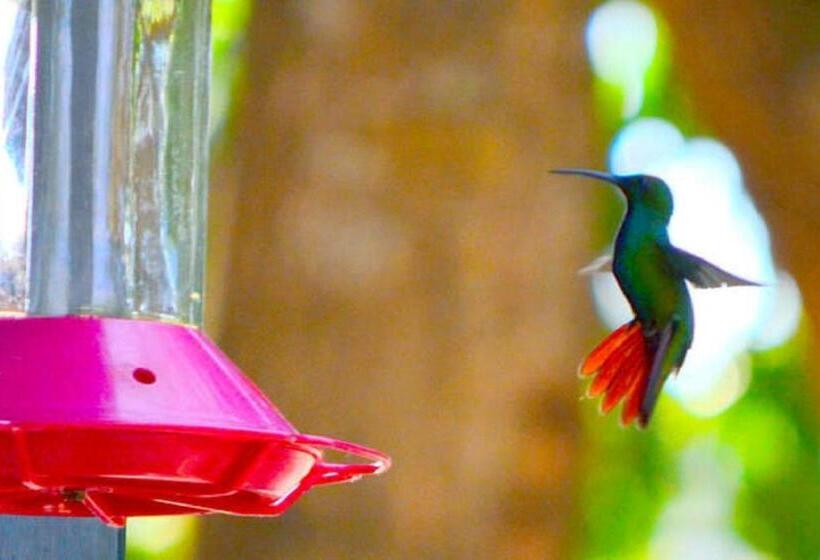 בית מלון כפרי Mapi's Cabins