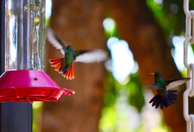 בית מלון כפרי Mapi's Cabins