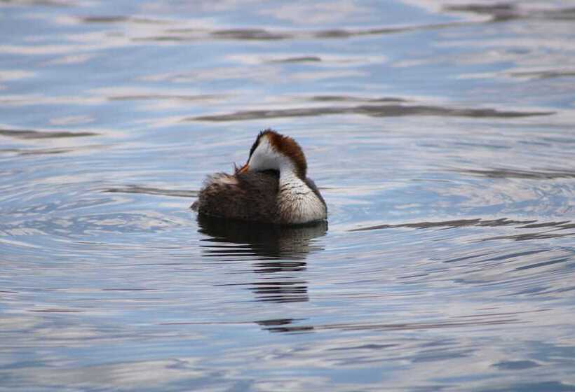 ホテル Titicaca Floating Lodge