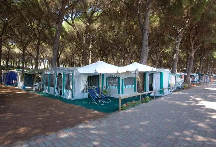 ホテル Camping Village Africa
