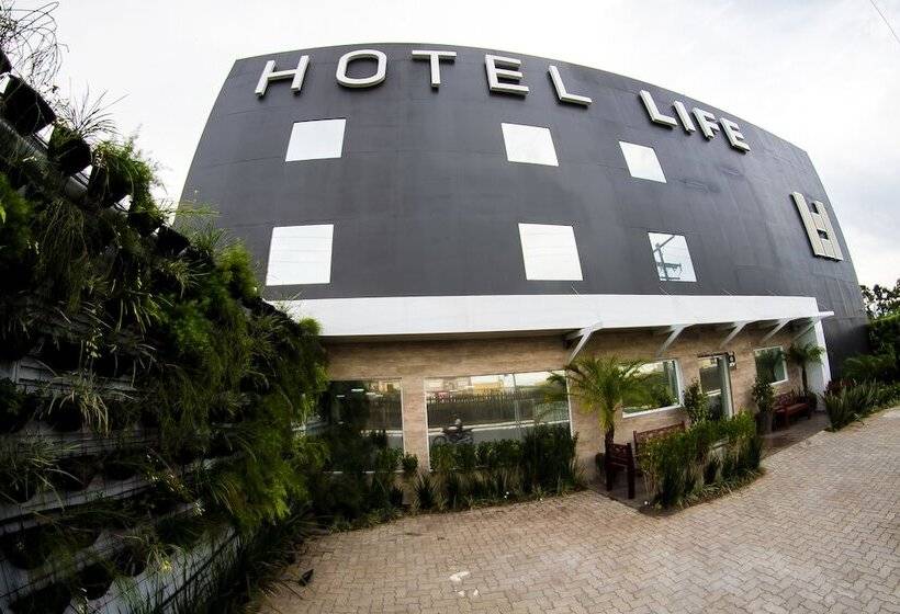 בית מלון כפרי Life