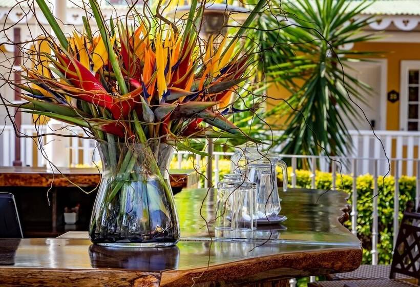 בית מלון כפרי Little Pilgrims Boutique