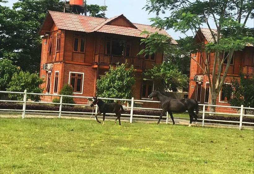Apm Equestrian Resort