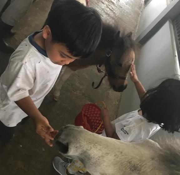 Apm Equestrian Resort