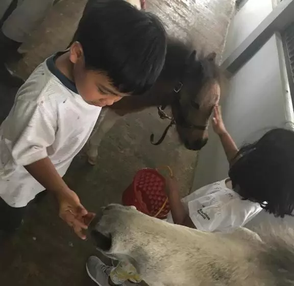 Apm Equestrian Resort