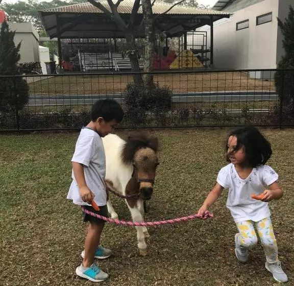 Apm Equestrian Resort