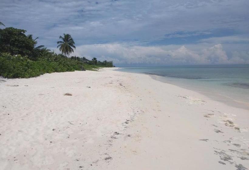 Bell At The Airport Suites Adults Only