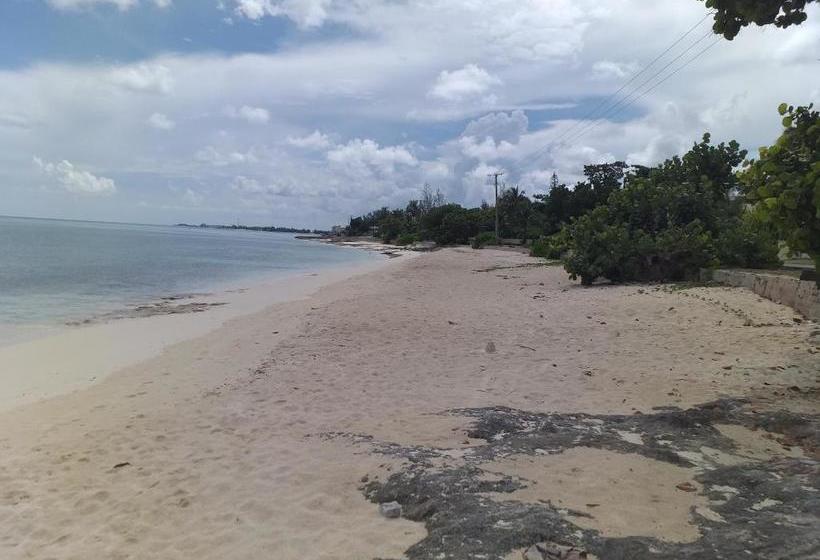 Bell At The Airport Suites Adults Only