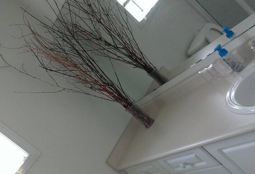 住宿加早餐  Hb Guest Home 5