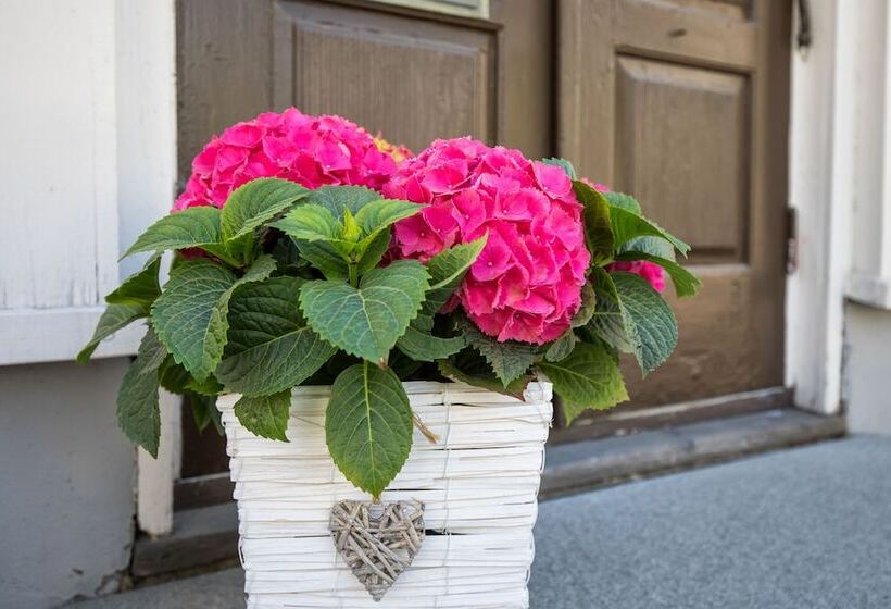 تختخواب و صبحانه Matin Ja Maijan Majatalo