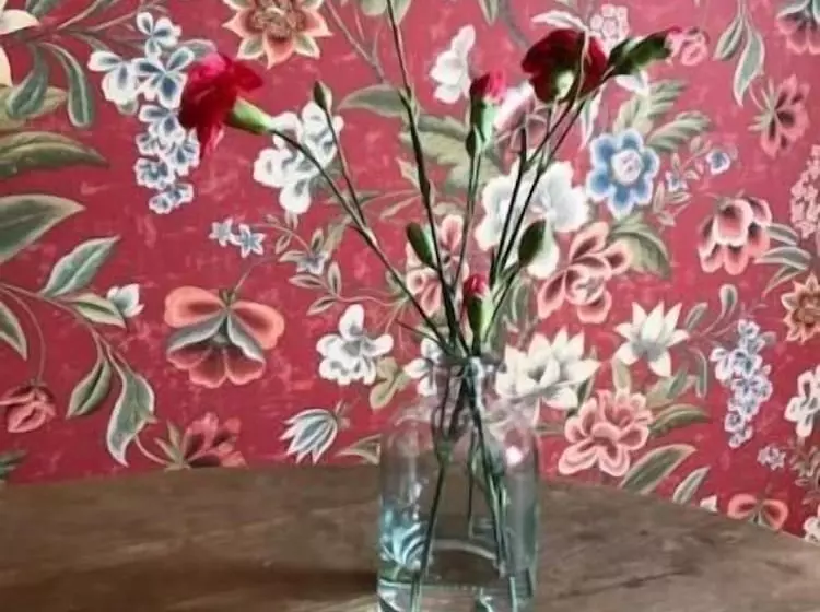 Aamiaismajoitus (B&B) Matin Ja Maijan Majatalo