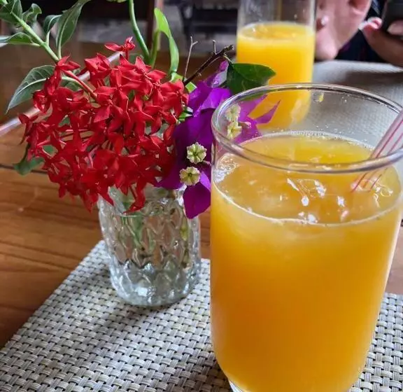 ホテル Pousada E Restaurante Passart