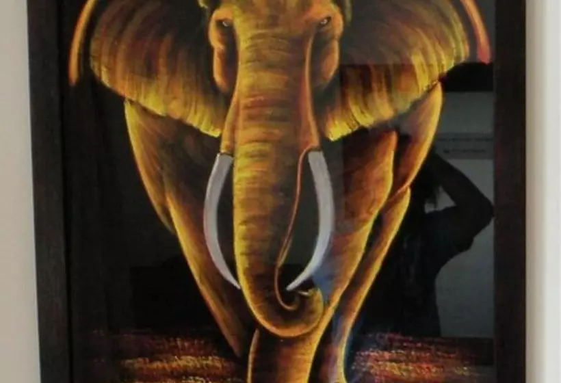 Hotelli Tagimoucia House