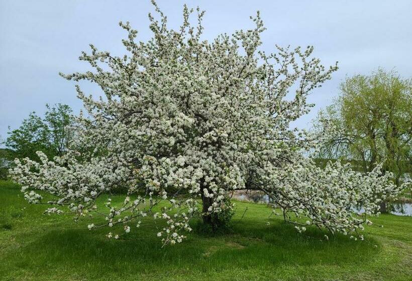 汽车旅馆  Bouctouche Bay Inn
