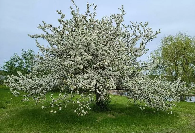 Motelli Bouctouche Bay Inn