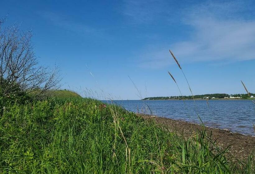 汽车旅馆  Bouctouche Bay Inn