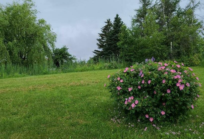 汽车旅馆  Bouctouche Bay Inn