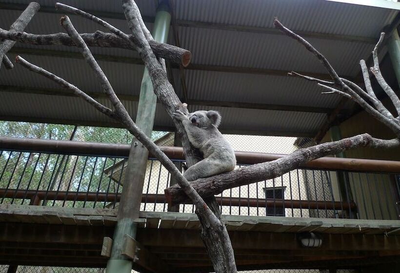 אתר נופש Springwood Meditation Centre 春木禪修渡假中心