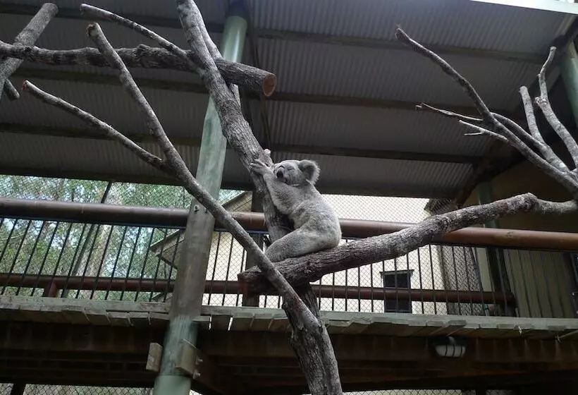 Lomakeskus Springwood Meditation Centre 春木禪修渡假中心