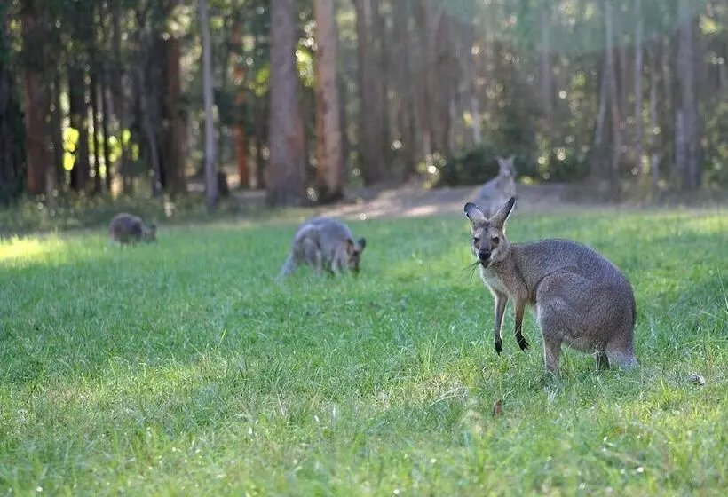Lomakeskus Springwood Meditation Centre 春木禪修渡假中心