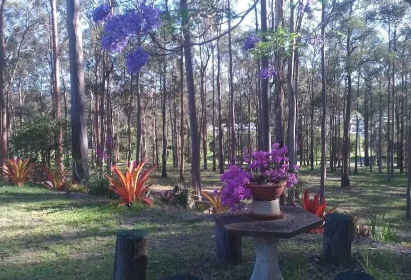 Lomakeskus Springwood Meditation Centre 春木禪修渡假中心