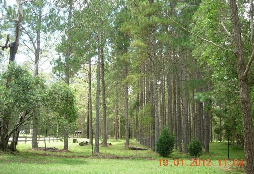 אתר נופש Springwood Meditation Centre 春木禪修渡假中心