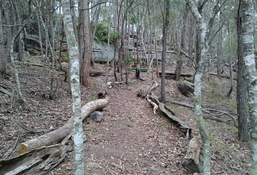 אתר נופש Springwood Meditation Centre 春木禪修渡假中心