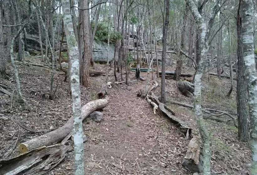 Lomakeskus Springwood Meditation Centre 春木禪修渡假中心