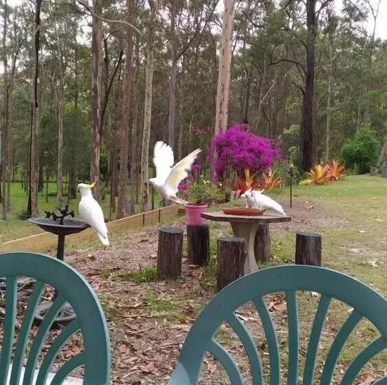Lomakeskus Springwood Meditation Centre 春木禪修渡假中心