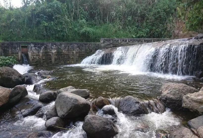 ユースホステル Hostal Encanto La Salada